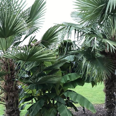 Ferienwohnung Palmengarten Lichtenstein  المظهر الخارجي الصورة