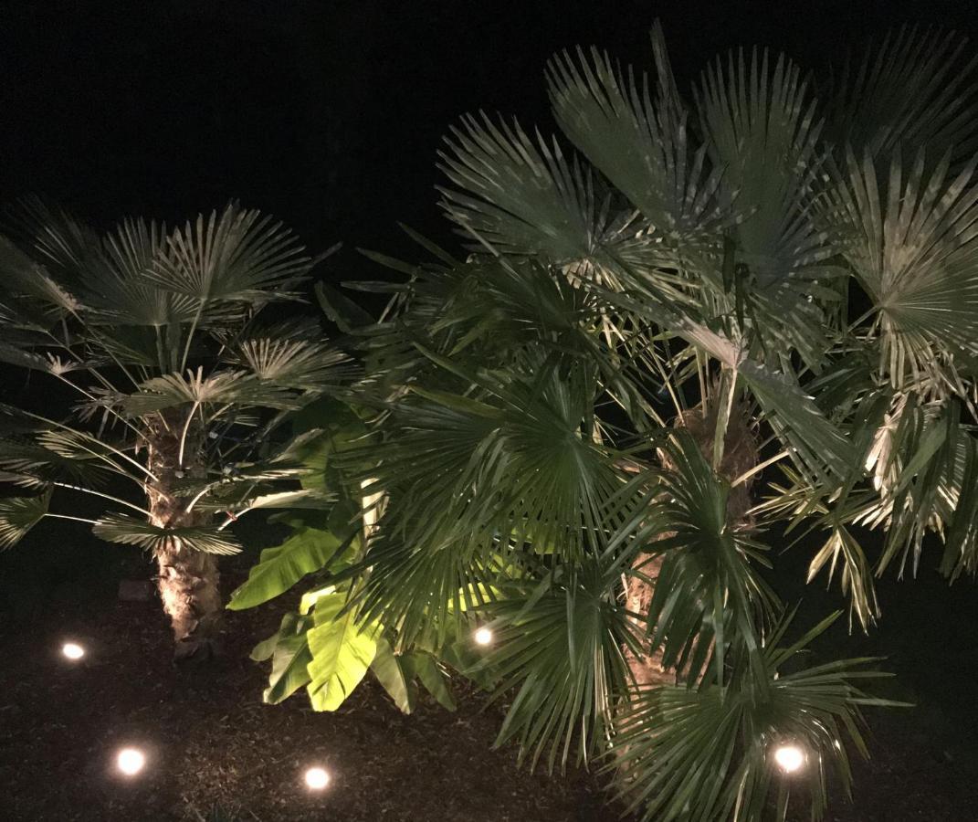 Ferienwohnung Palmengarten Lichtenstein  المظهر الخارجي الصورة