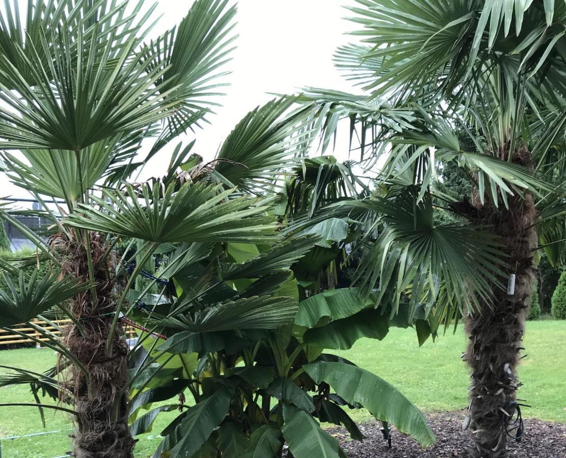 Ferienwohnung Palmengarten Lichtenstein  المظهر الخارجي الصورة