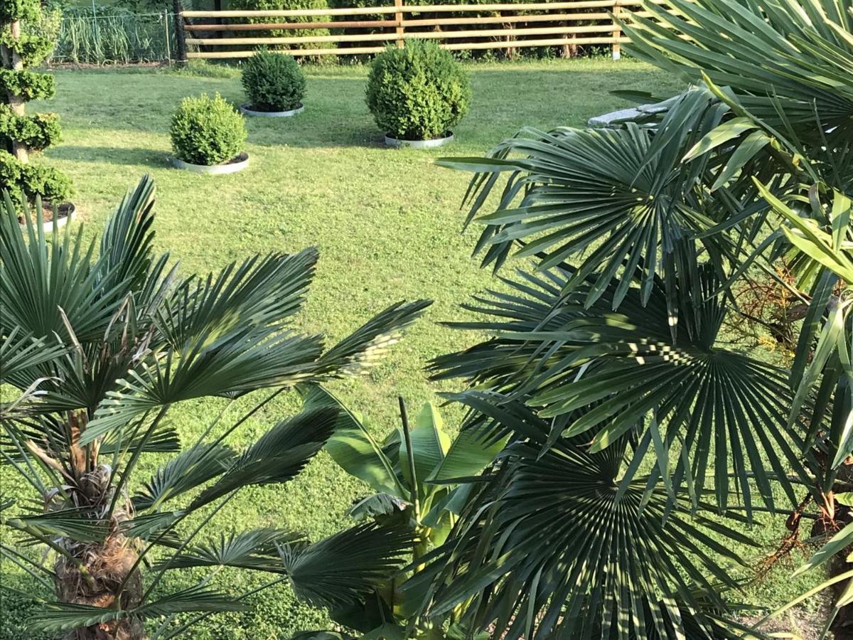 Ferienwohnung Palmengarten Lichtenstein  المظهر الخارجي الصورة
