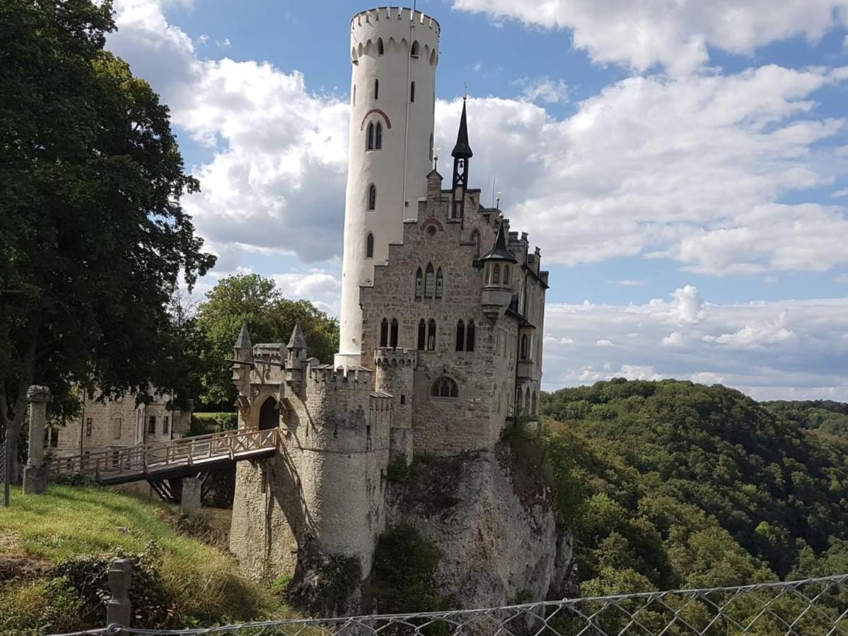 Ferienwohnung Palmengarten Lichtenstein  المظهر الخارجي الصورة