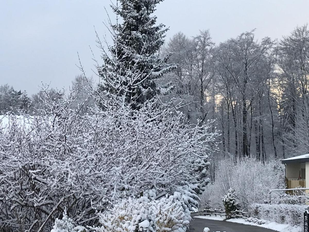 Ferienwohnung Palmengarten Lichtenstein  المظهر الخارجي الصورة